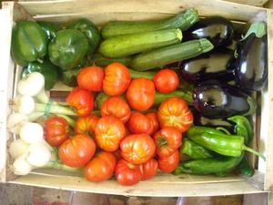 Panier RATATOUILLE